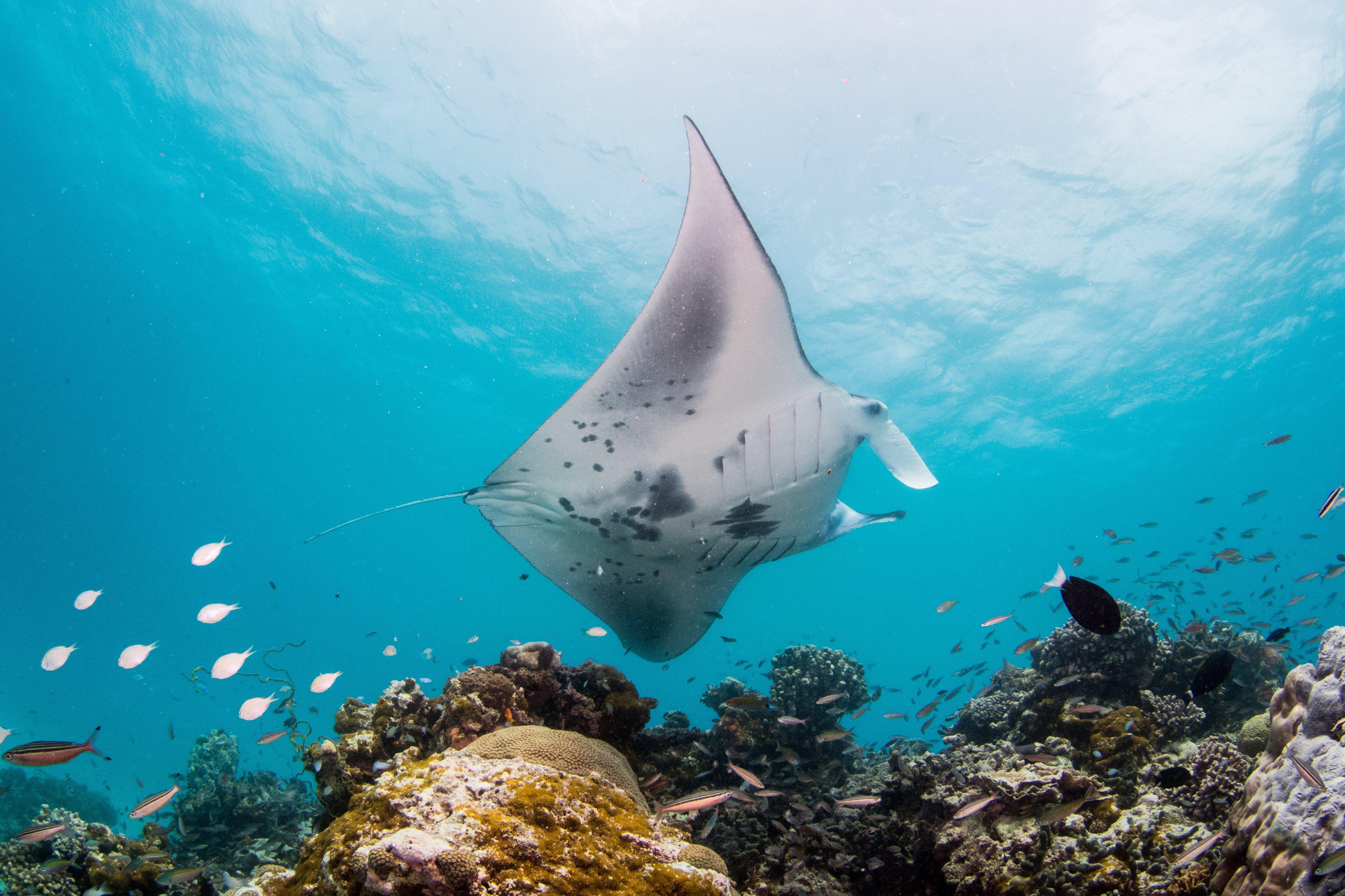 Intercontinental Maldives Maamunagau Resort With Club Benefits By Ihg Meedhoo  Zewnętrze zdjęcie